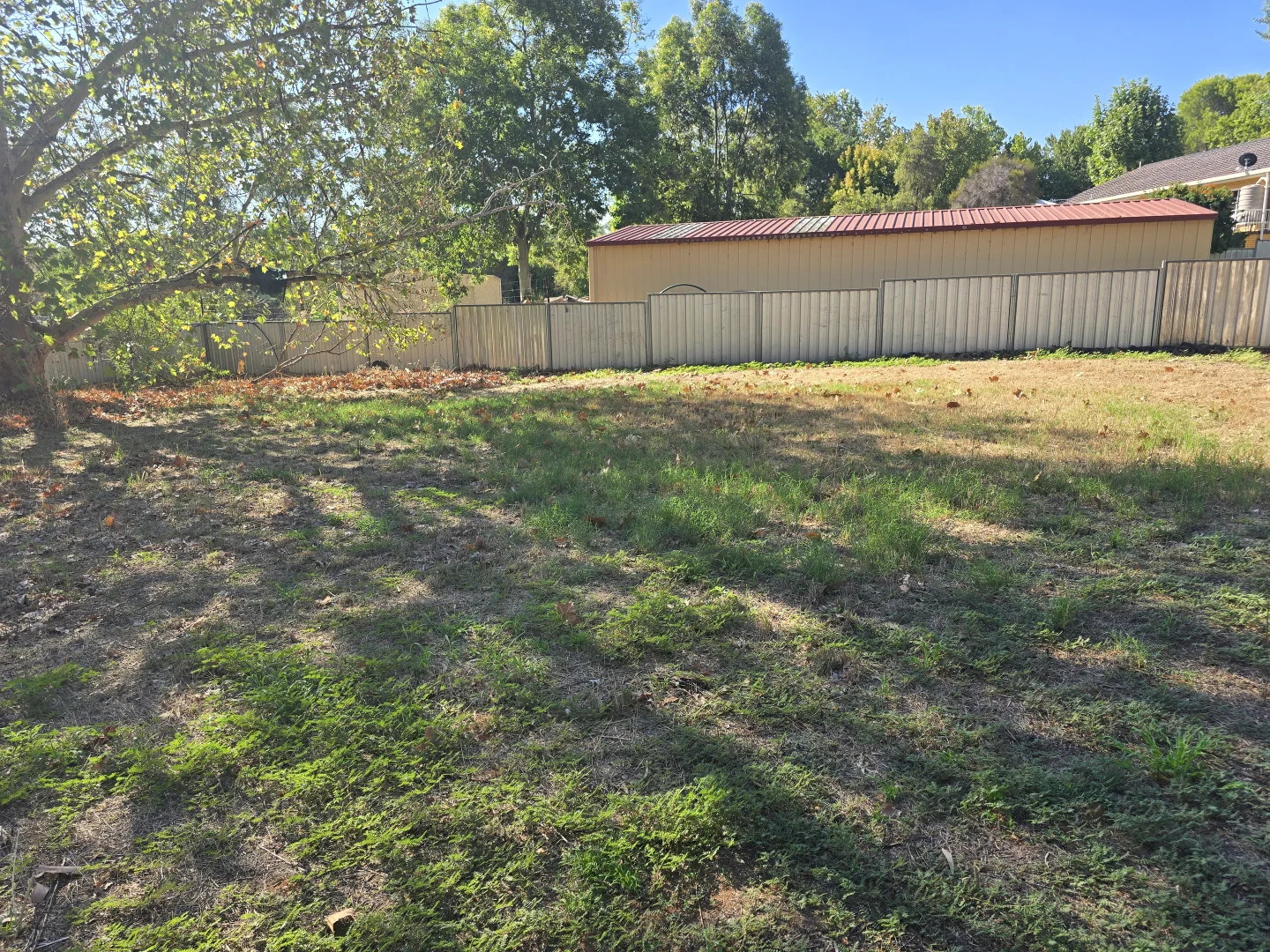 Additional image 16 of 9 Graf Street, Condobolin NSW 2877