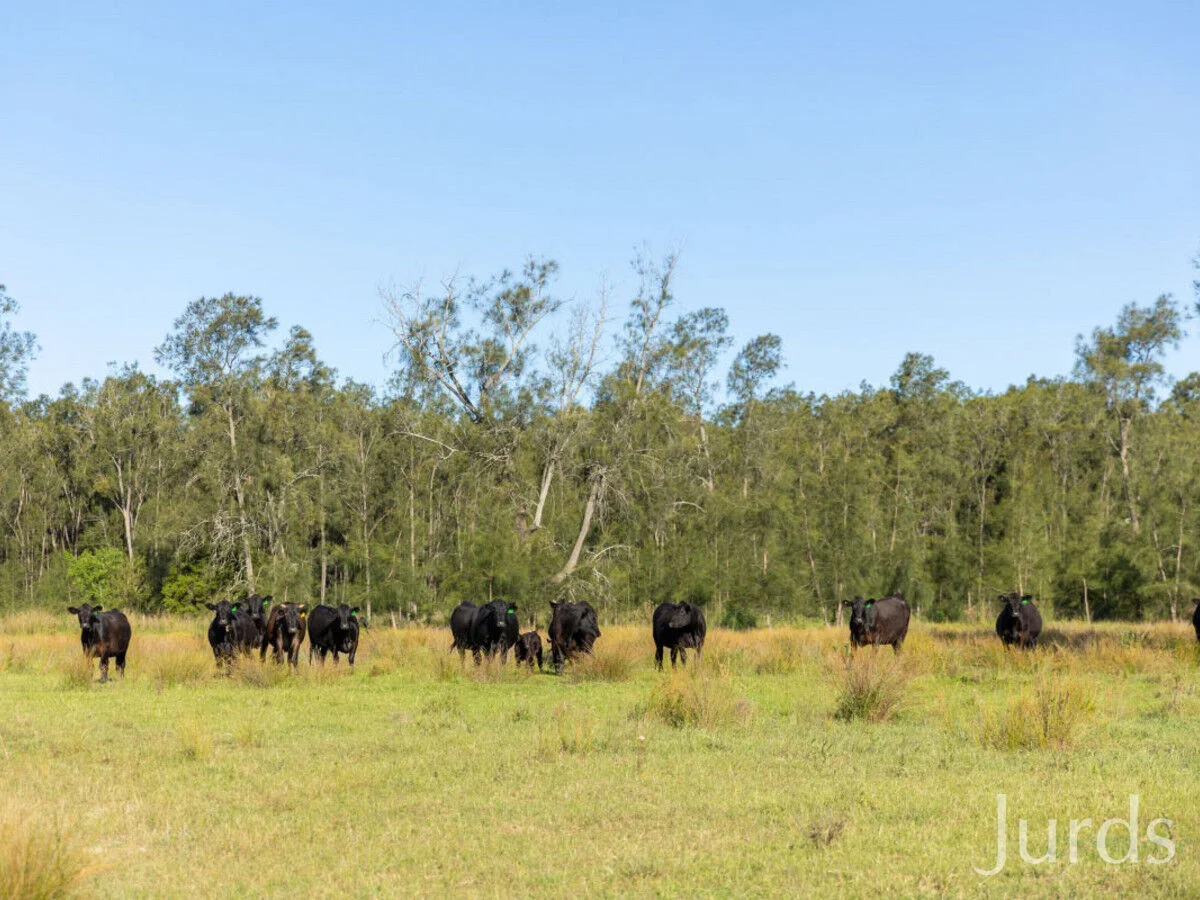 Additional image 4 of 2/DP707940 Hermitage Road, Pokolbin NSW 2320