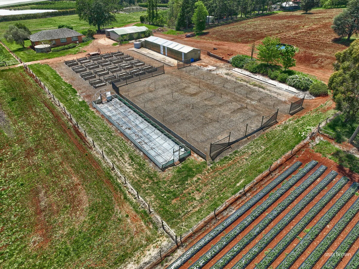 Additional image 27 of 250 Wandin Creek Road, Wandin East VIC 3139