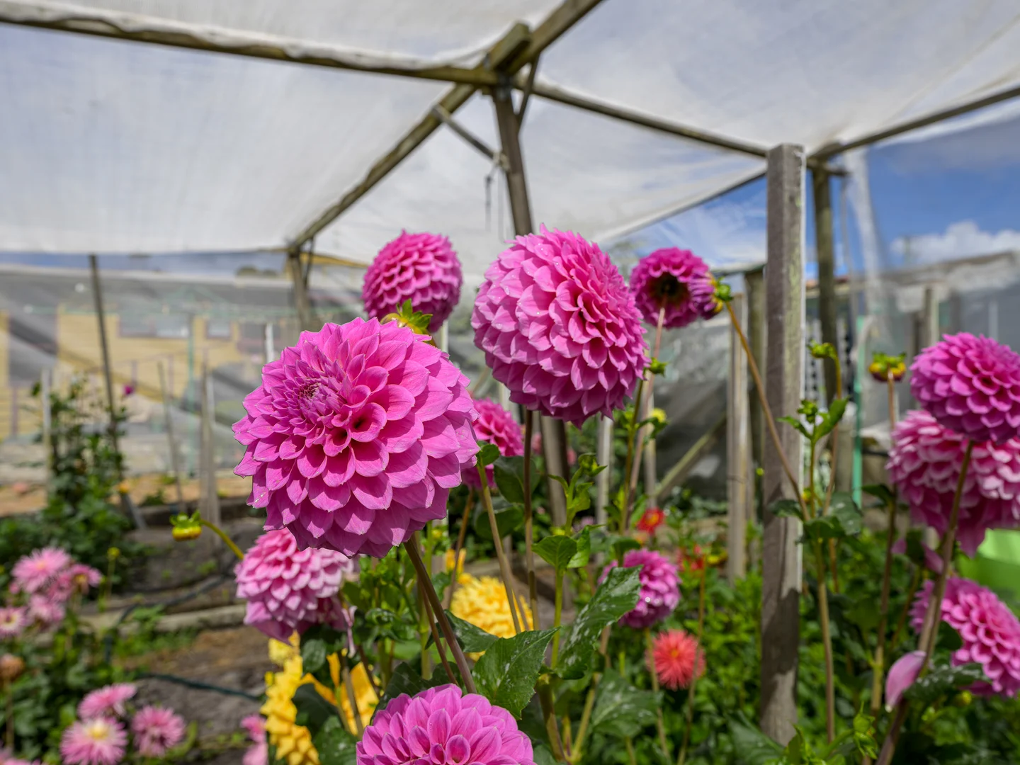 Additional image 26 of 8 Petrel Place, Stieglitz TAS 7216