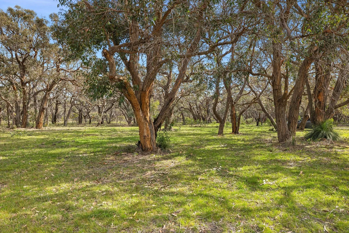 Additional image 29 of 205 Addiscott Road, Bells Beach VIC 3228