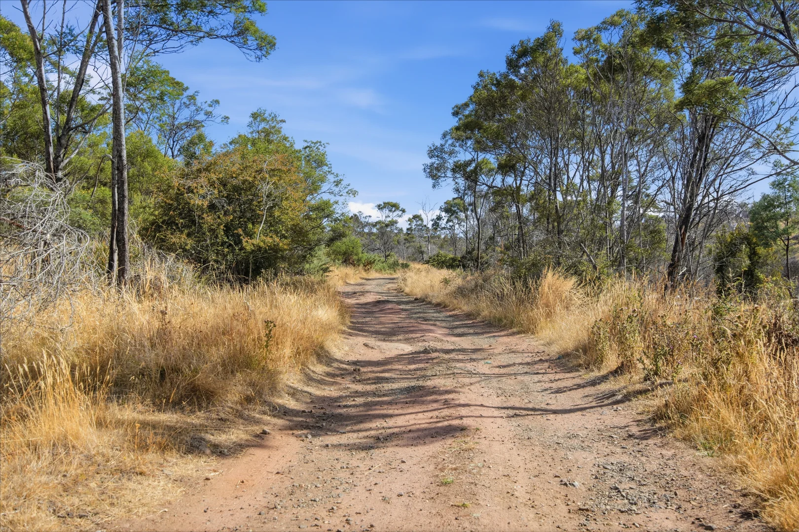 Additional image 12 of 75 Prossers Forest Road, Ravenswood TAS 7250