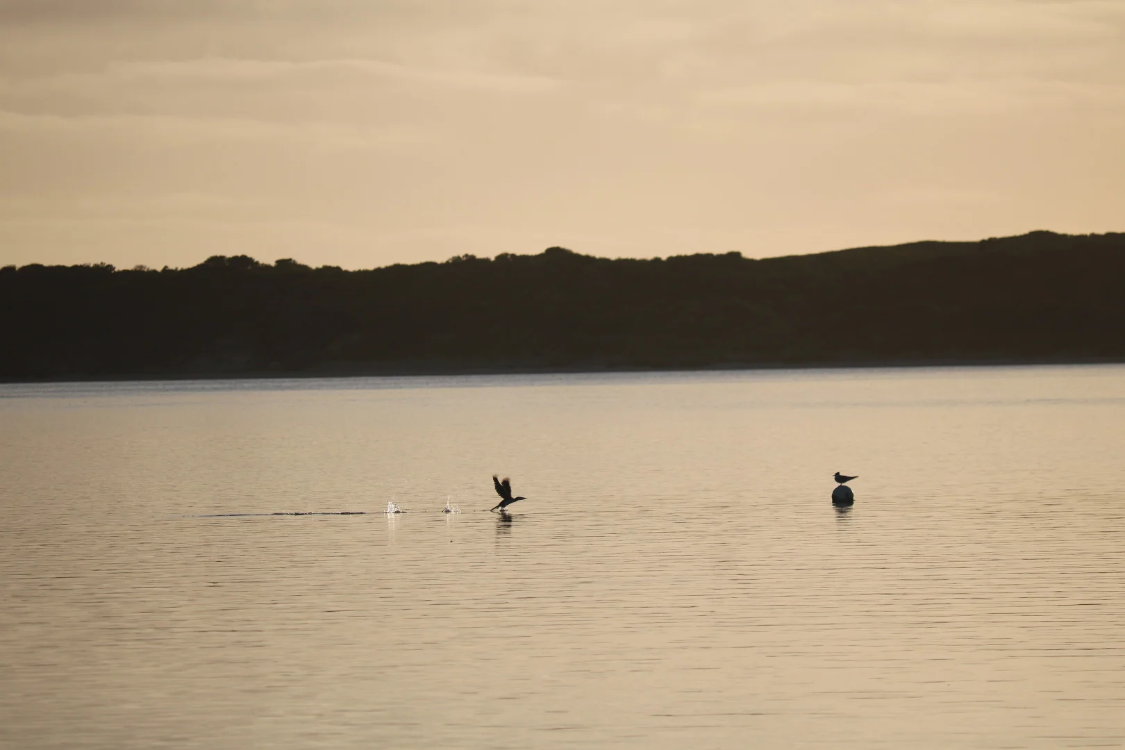 Additional image 5 of Lot 4 North East River Road, Palana TAS 7255