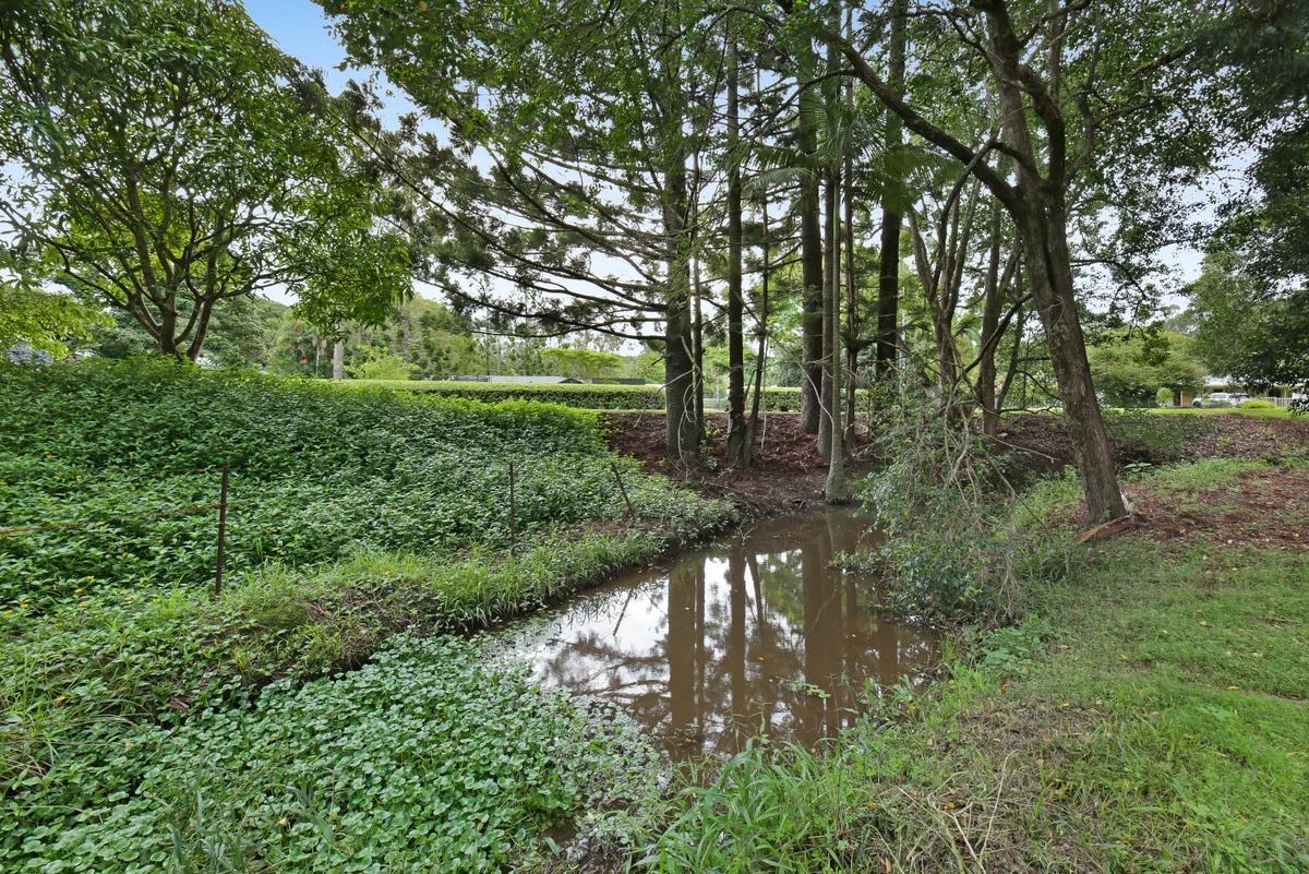 Additional image 11 of 55 Coorabin Court, Tallebudgera QLD 4228