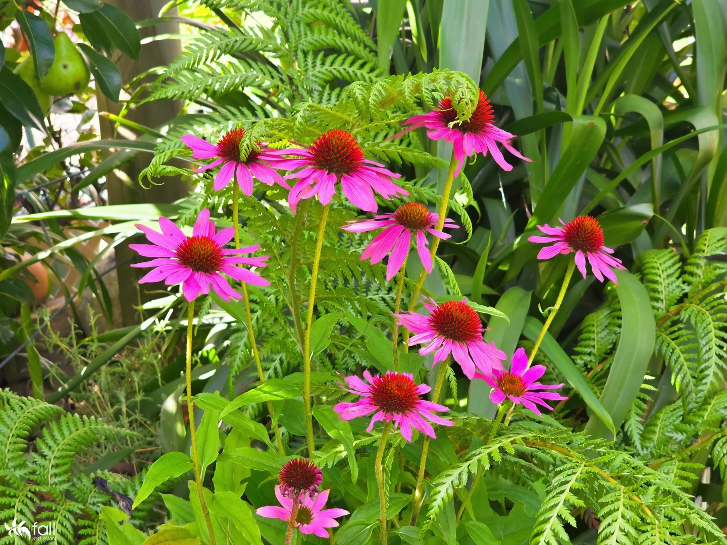 Additional image 28 of 24 Ewing Avenue, Kingston Beach TAS 7050