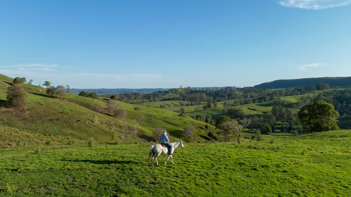 Additional image 22 of Bingeebeebra Creek, Mummulgum NSW 2469