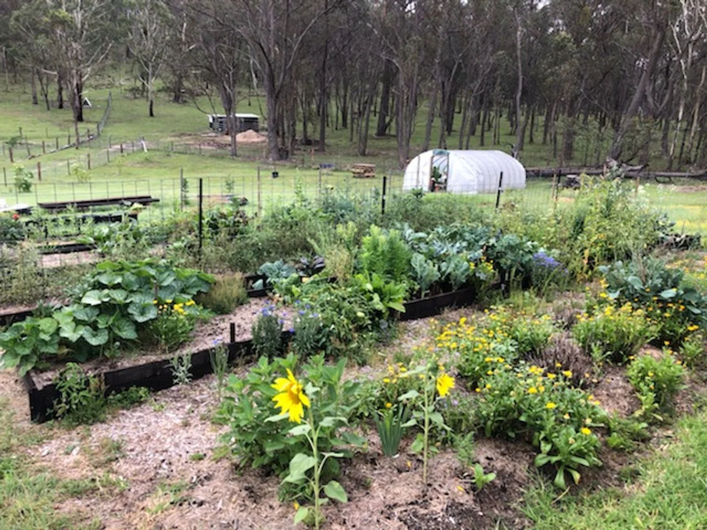 Additional image 35 of 22 Bluff River Road, Tenterfield NSW 2372