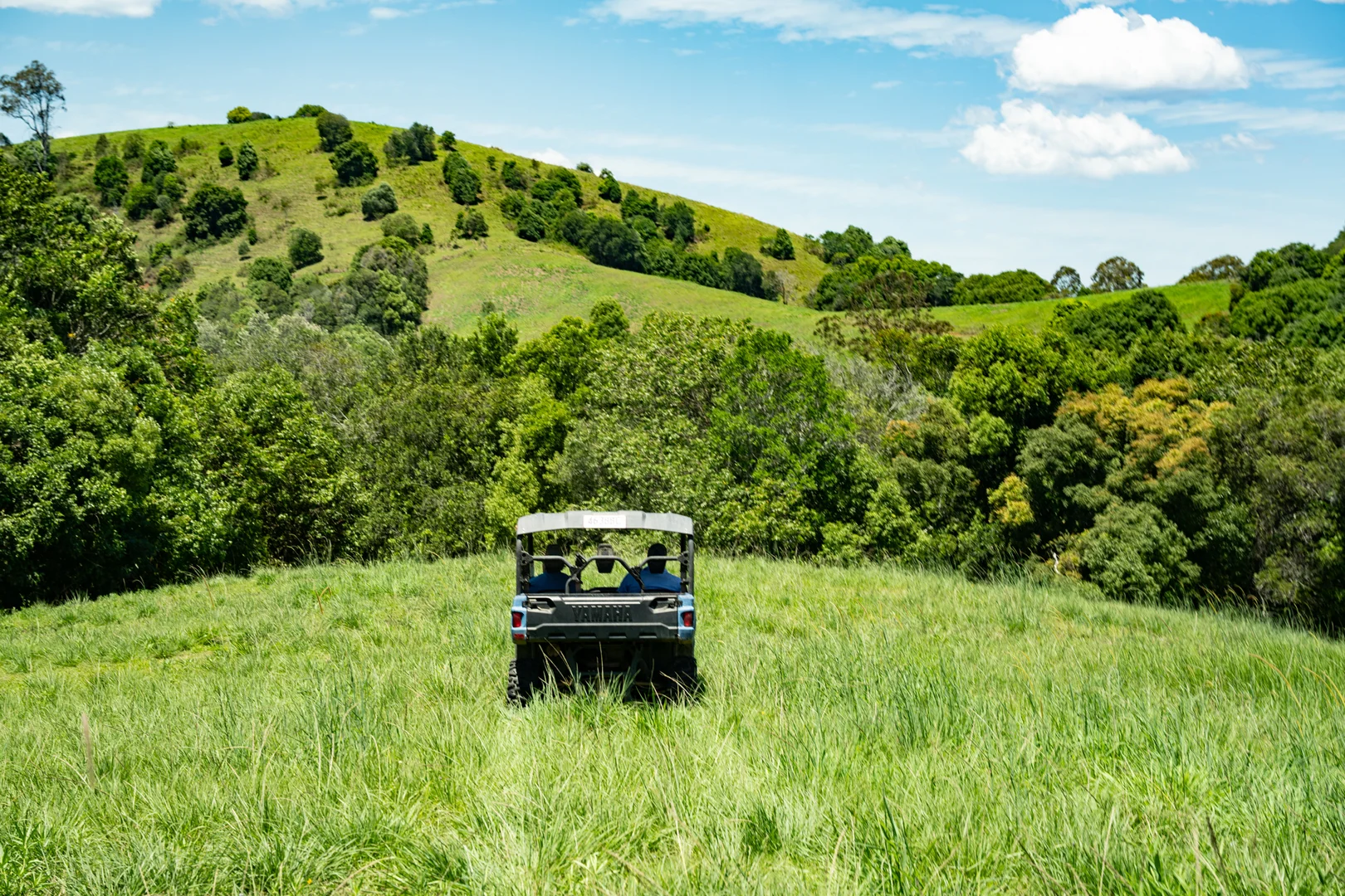 Additional image 14 of 165 Larneys Lane, Eerwah Vale QLD 4562