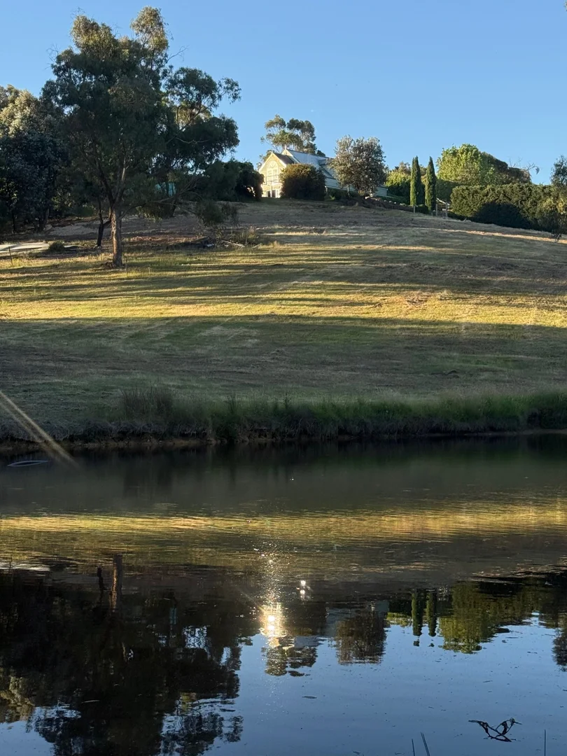 Additional image 12 of 43 Liberty Flat Drive, Taradale VIC 3447