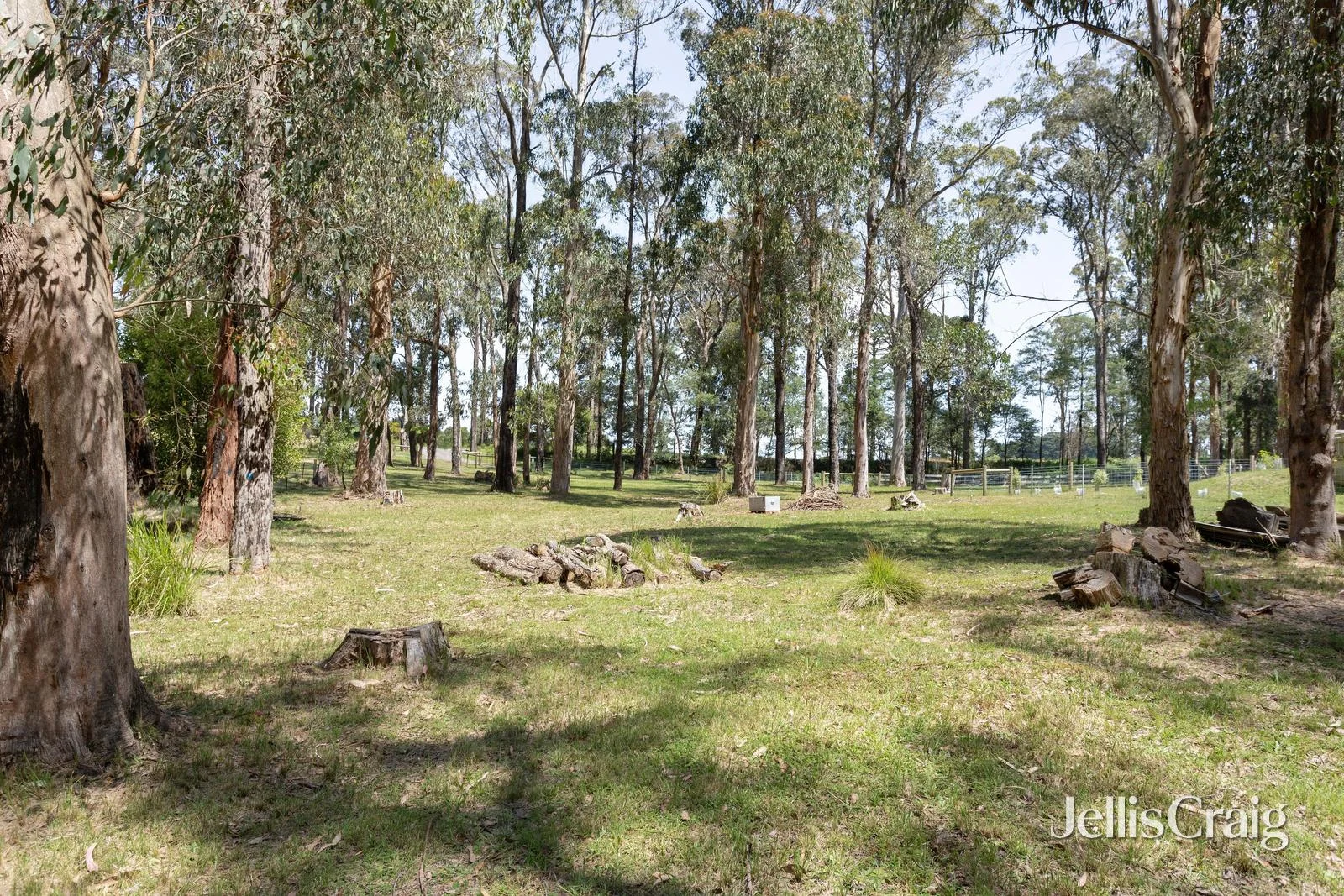 Additional image 2 of 852 Whittlesea-Kinglake Road, Kinglake West VIC 3757