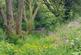 Additional image 46 of Llandysul, SA44