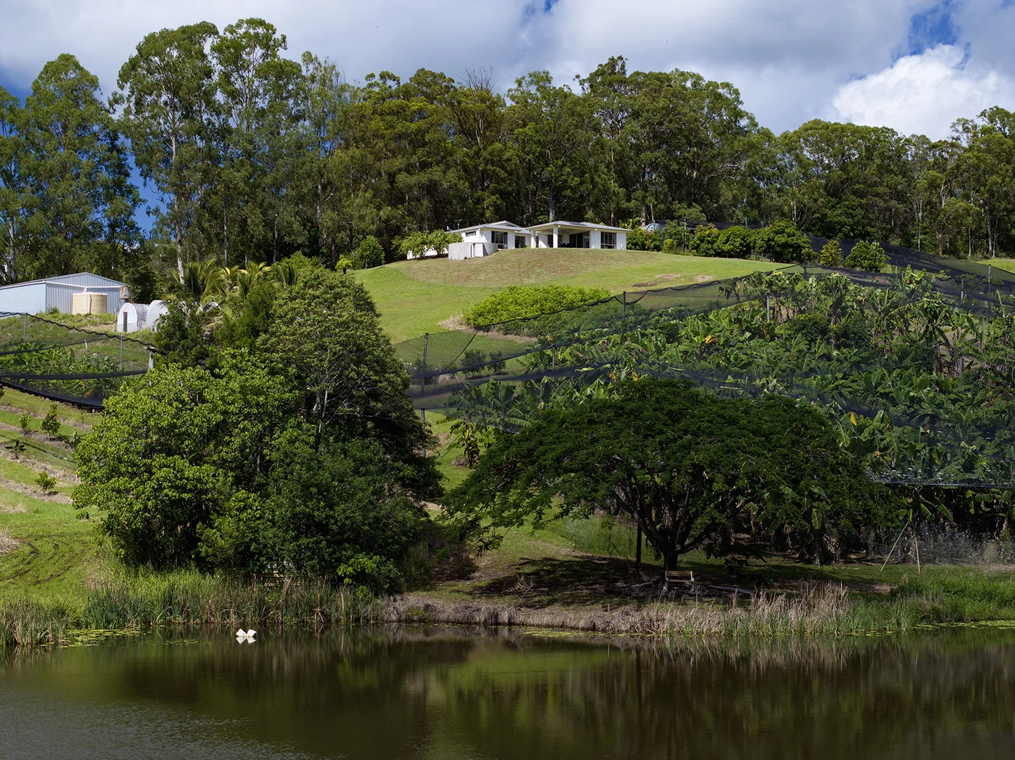 Additional image 3 of 654 Blackall Range Road, West Woombye QLD 4559