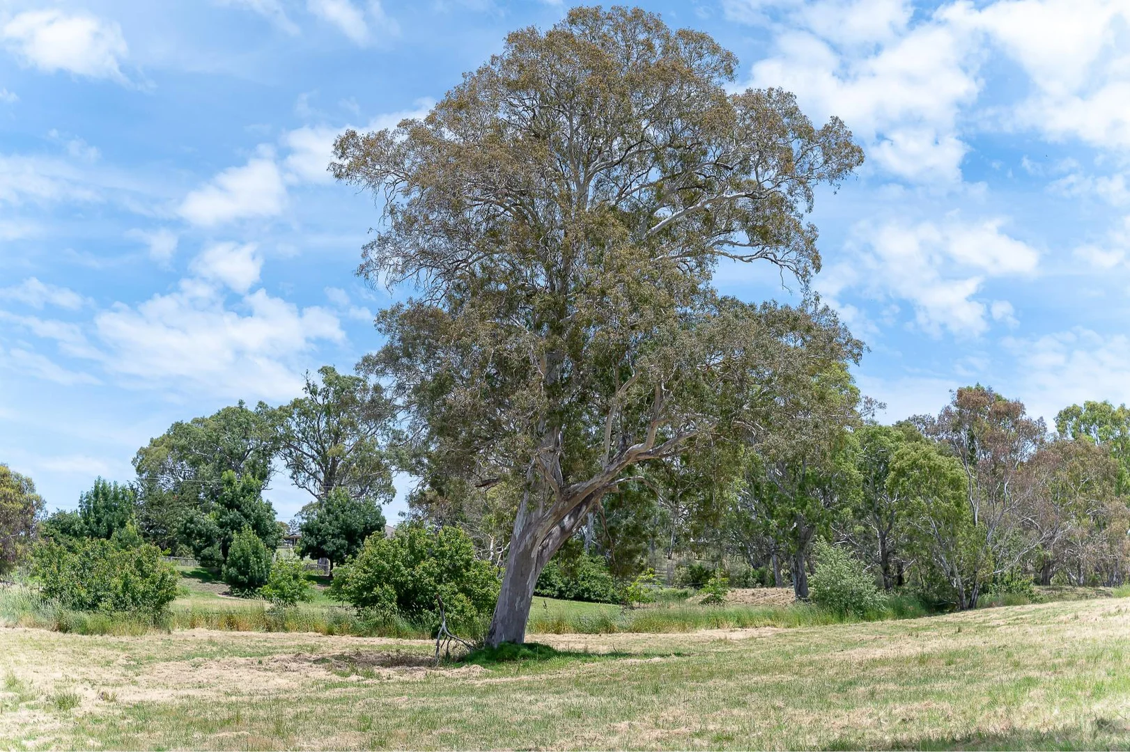 Additional image 4 of 1005 Waterford Avenue, Mount Barker SA 5251