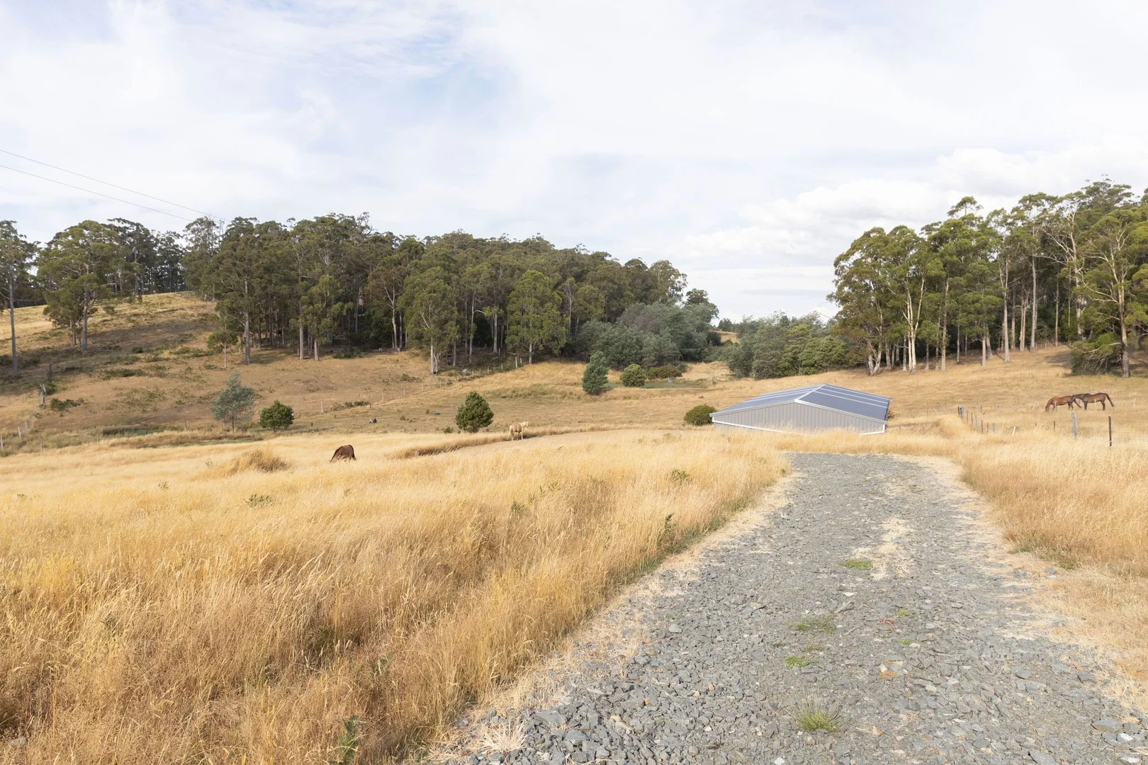 Additional image 13 of 121 Davis Road, Deloraine TAS 7304