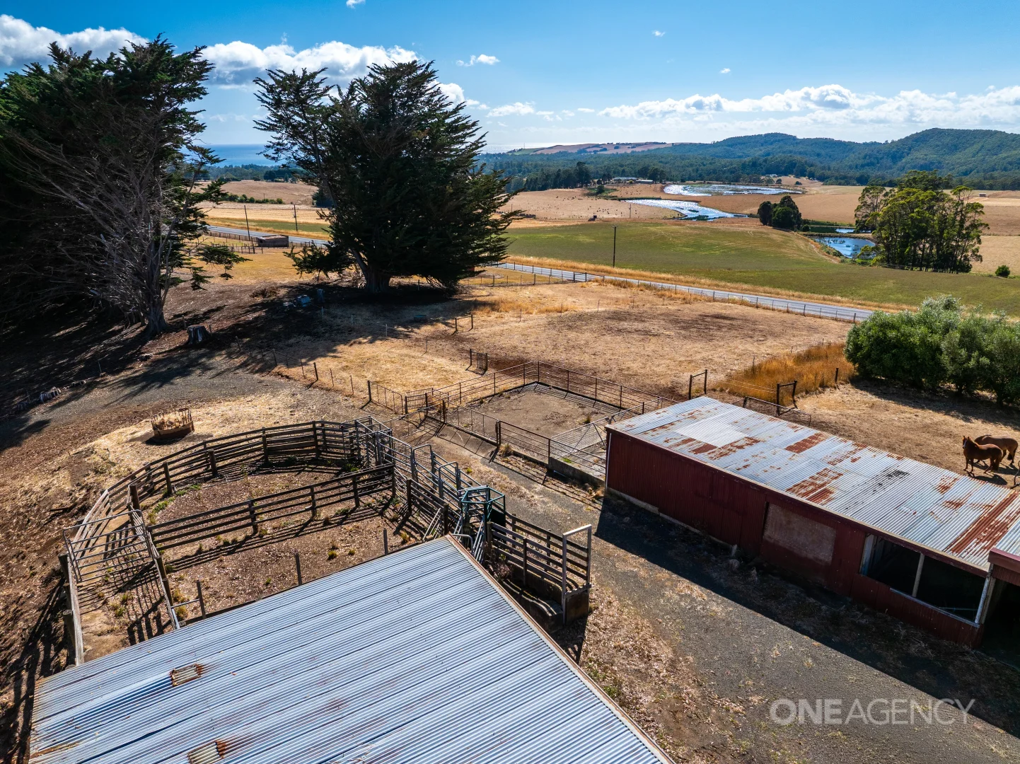 Additional image 8 of 592 Murchison Highway, Elliott TAS 7325
