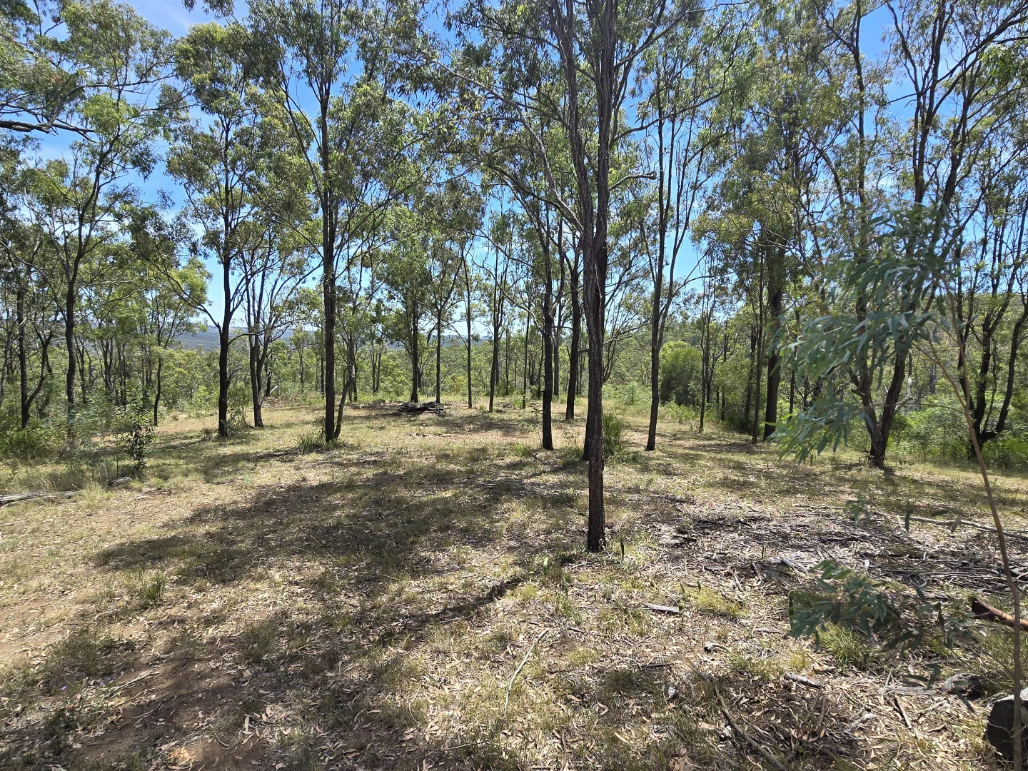Additional image 18 of Lot 389 East Cooyar Road, Cooyar QLD 4402