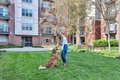 Additional image 33 of 9600 Milestone Way, College Park, MD, 20740