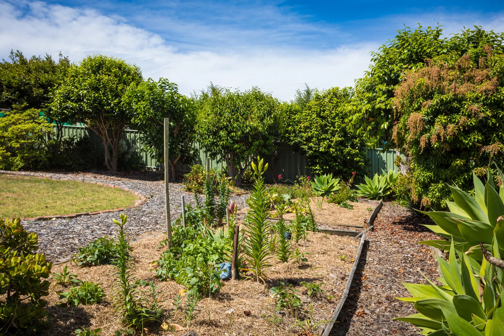 Additional image 27 of 14 Telopea Crescent, Tura Beach NSW 2548