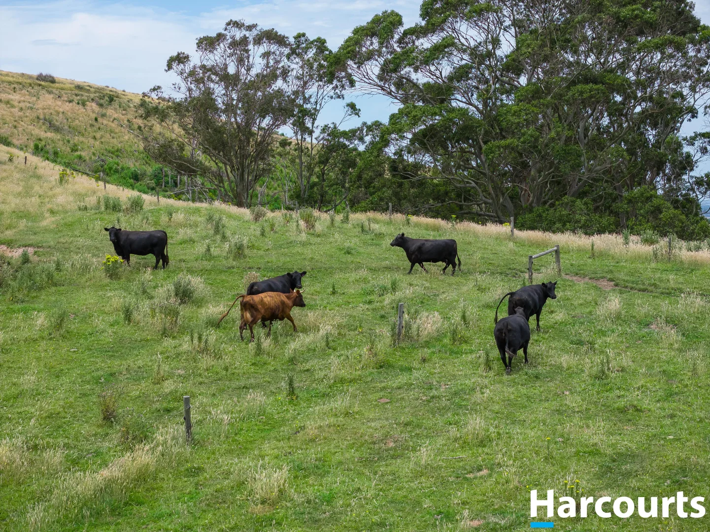 Additional image 28 of 570 Woorarra Road, Welshpool VIC 3966