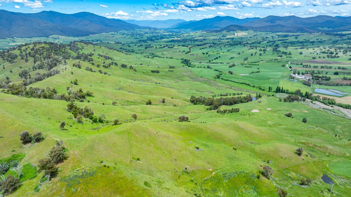 Additional image 24 of Swamp Lane, Dederang VIC 3691