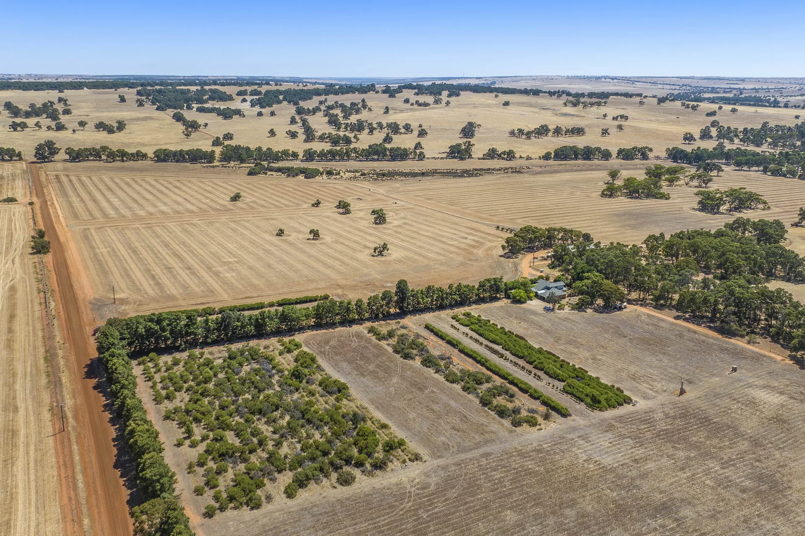 Additional image 28 of 89 Vine Cottage Lane, Dandaragan WA 6507