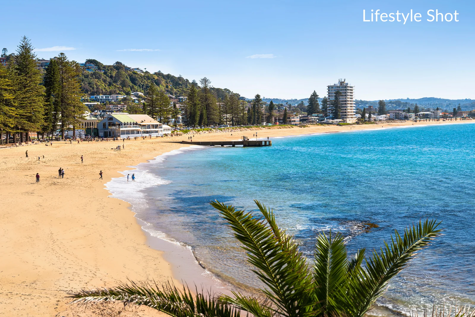 Additional image 16 of 12 Park Street, Collaroy NSW 2097