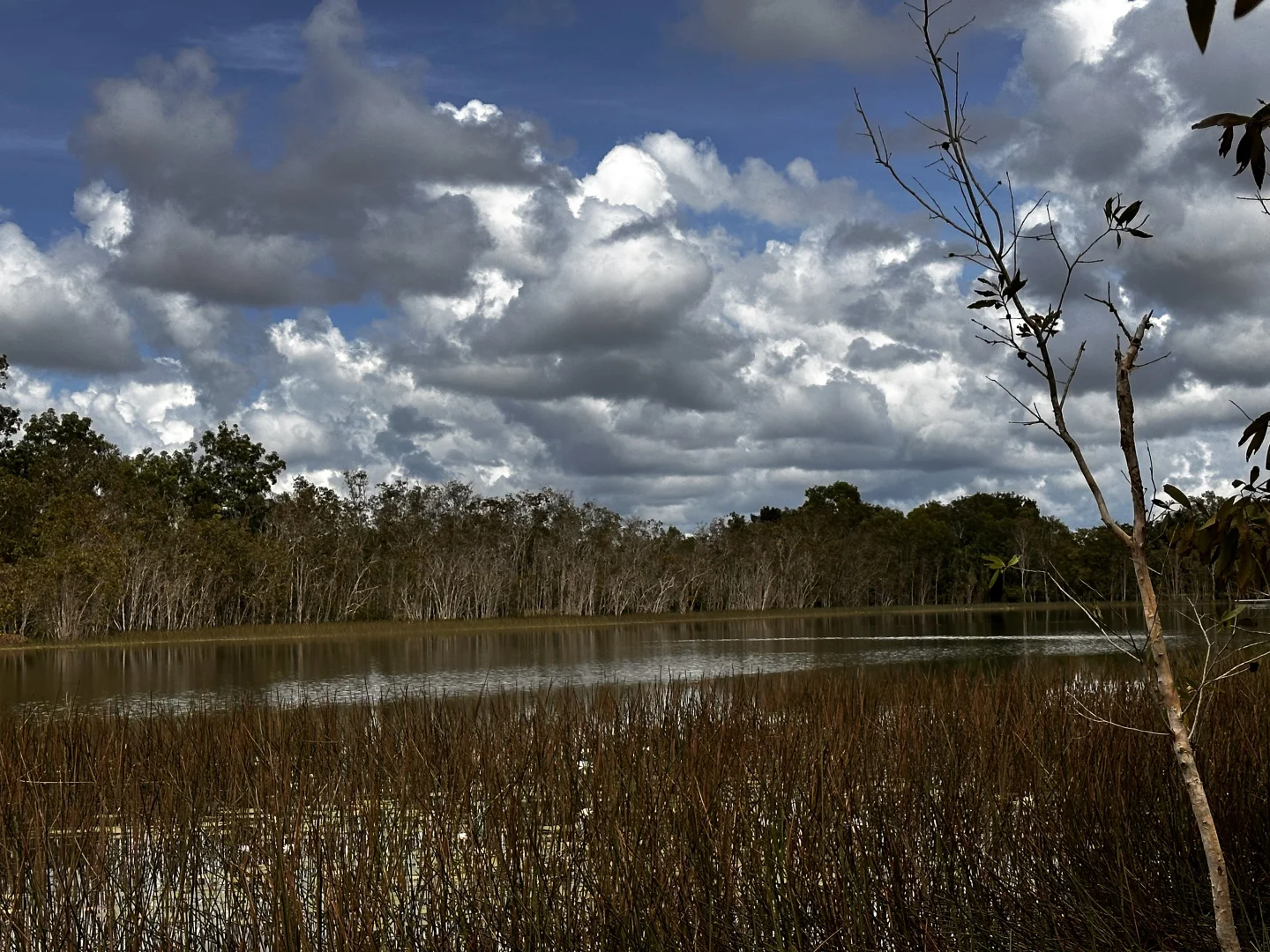 Additional image 4 of 9/199 Doris Road, Berry Springs NT 0838