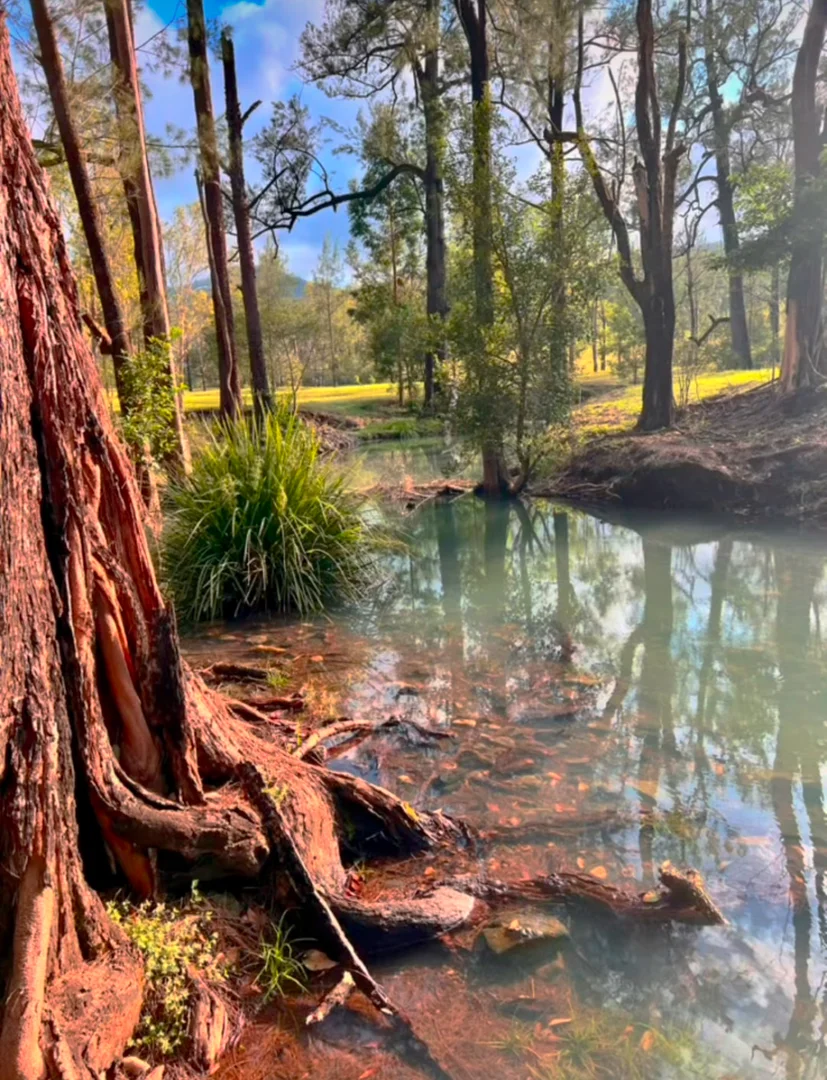 Additional image 32 of 6892 Gwydir Highway, Cangai NSW 2460