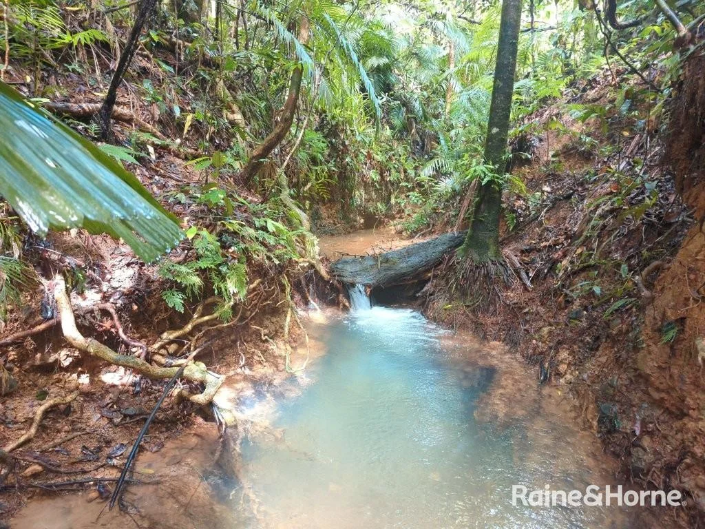 Additional image 16 of Lot 11 Milky Pine Road, Kimberley, Daintree QLD 4873