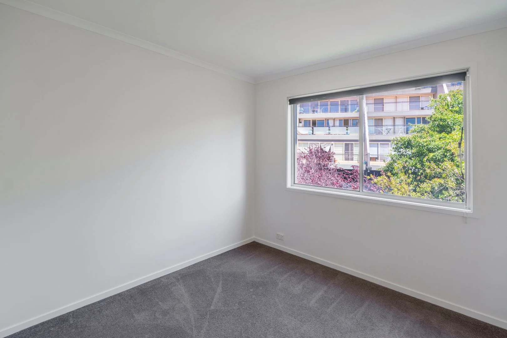 Additional image 5 of 59/17 Chandler Street, Belconnen ACT 2617