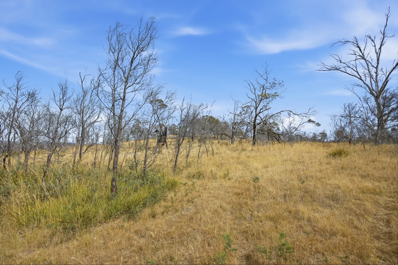 Additional image 17 of 75 Prossers Forest Road, Ravenswood TAS 7250