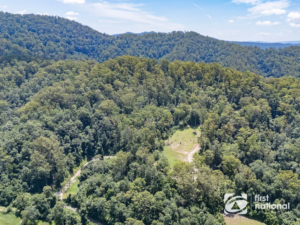 Additional image 24 of Lot 65 North Island Loop Road, Upper Orara NSW 2450