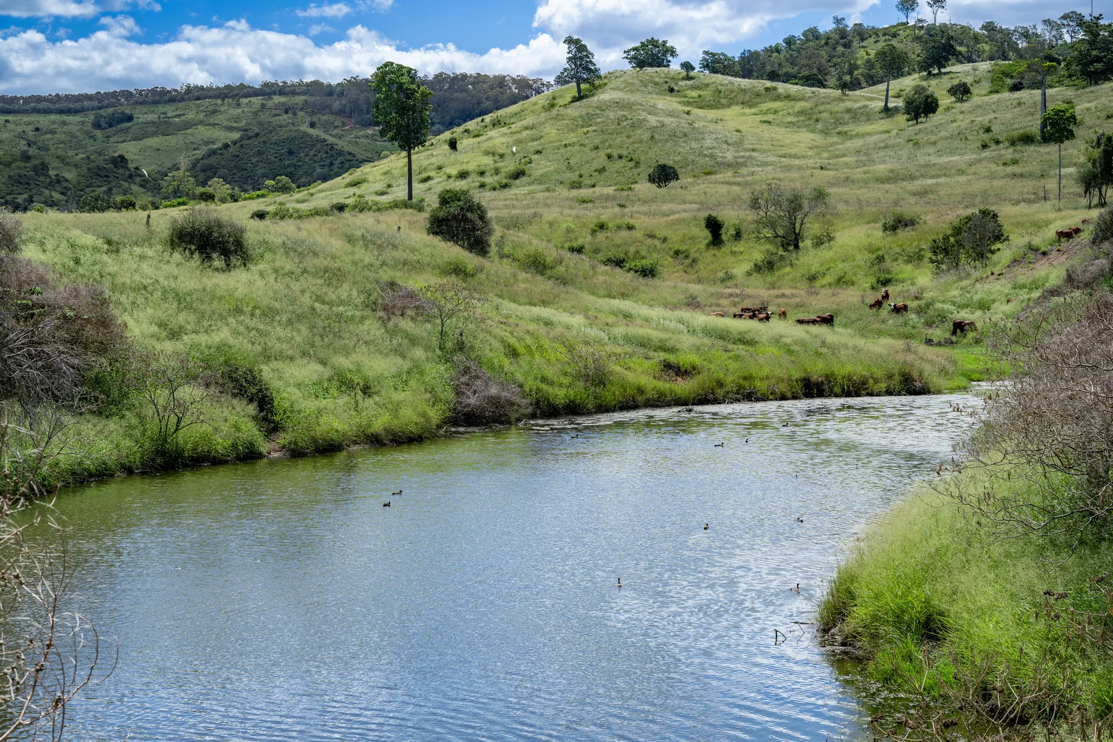 Additional image 3 of 'Double Knob' Nangur Road, Tansey QLD 4601
