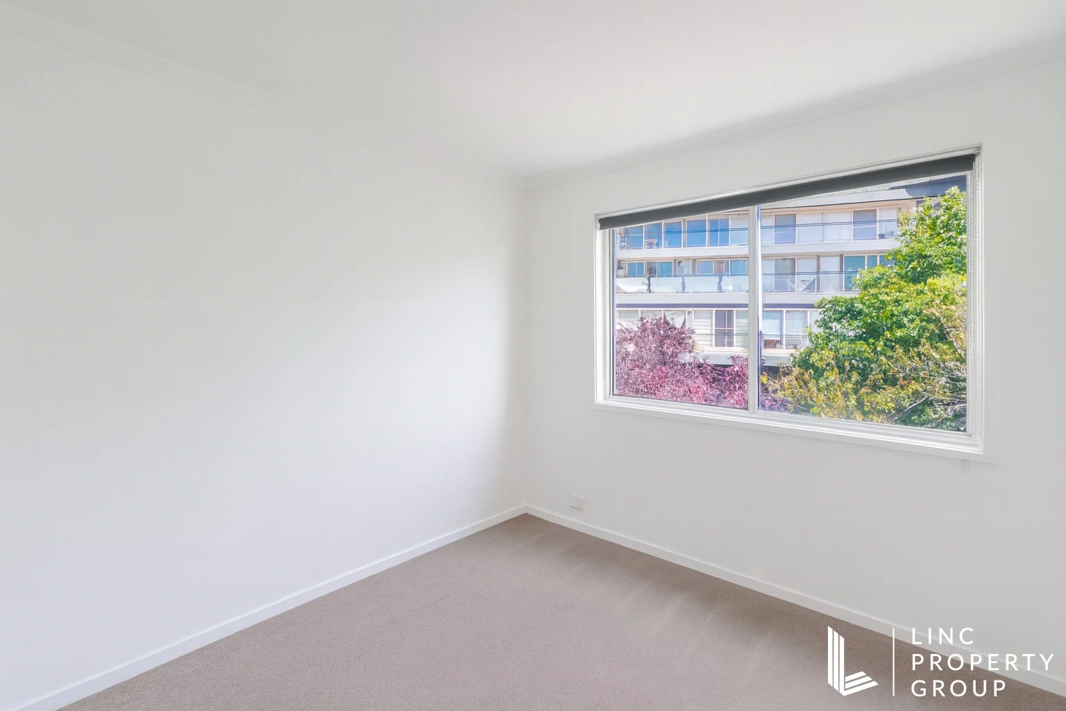 Additional image 10 of 59/17 Chandler Street, Belconnen ACT 2617