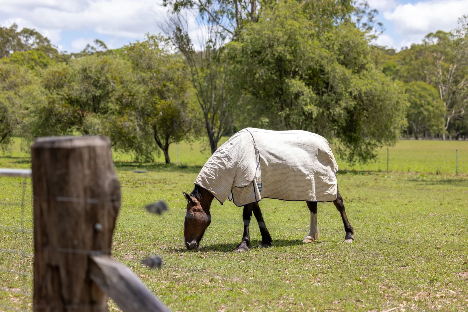 Additional image 20 of 2 Kylie Close, Taree NSW 2430