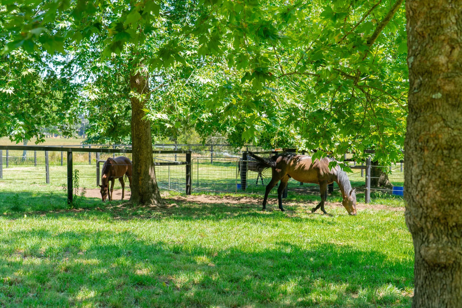 Additional image 23 of 10 Church Street, Burrawang NSW 2577