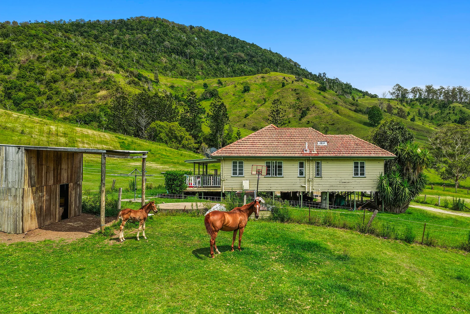 Additional image 8 of 248 Illinbah Road, Illinbah QLD 4275