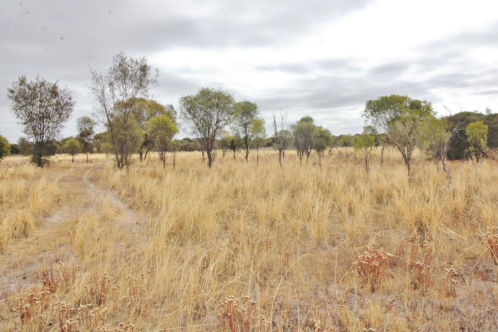 Additional image 6 of 458 Vernal, Wagin WA 6315