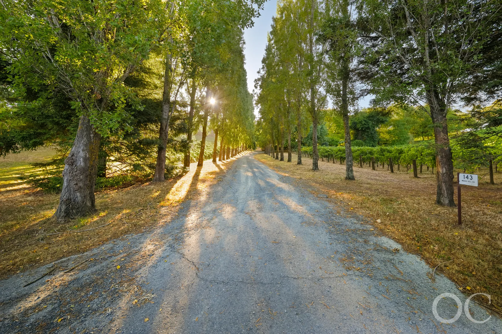 Additional image 31 of 143 Woods Hill Road, Ashton SA 5137