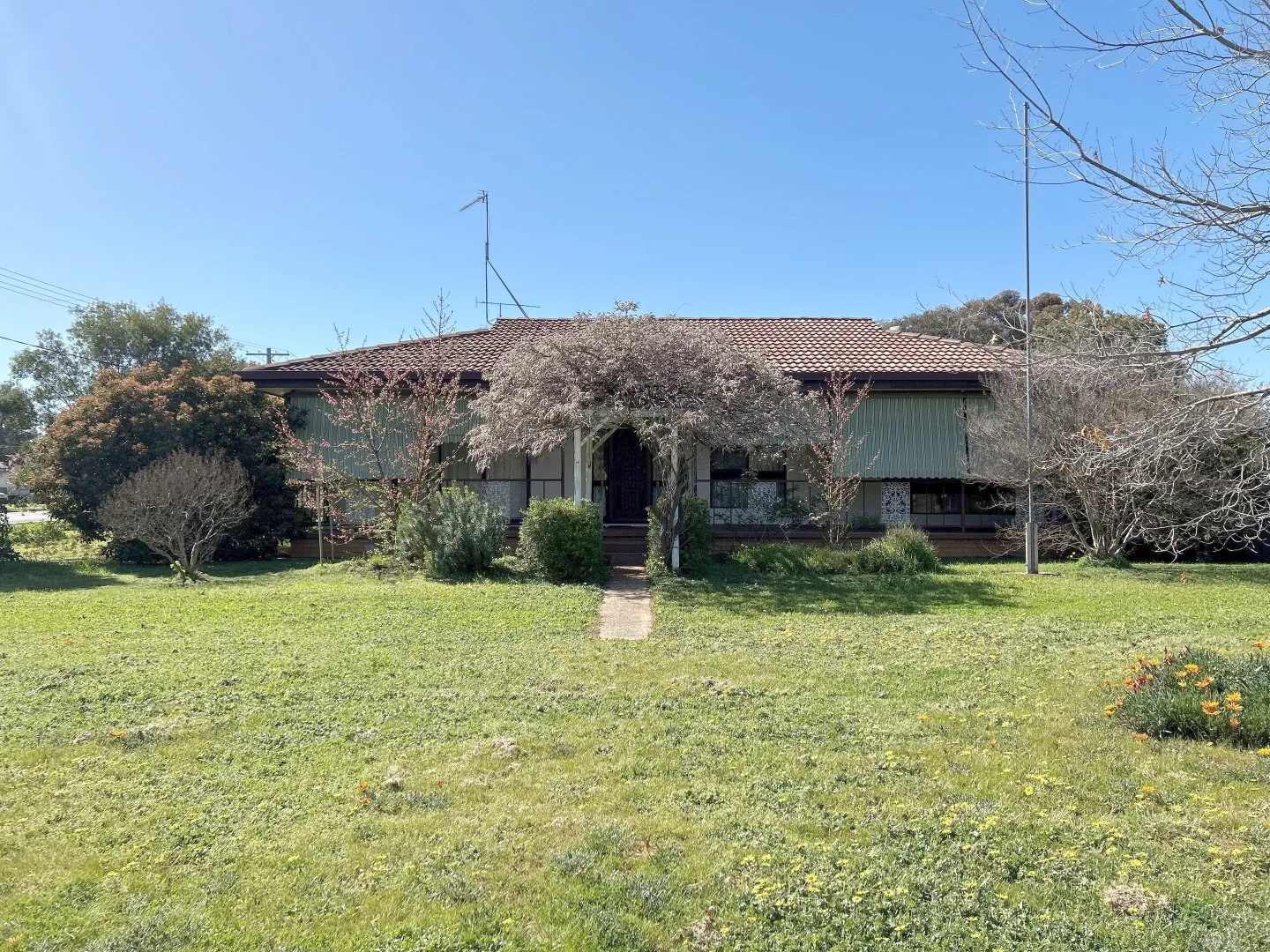 52 Galore Street, Lockhart NSW 2656