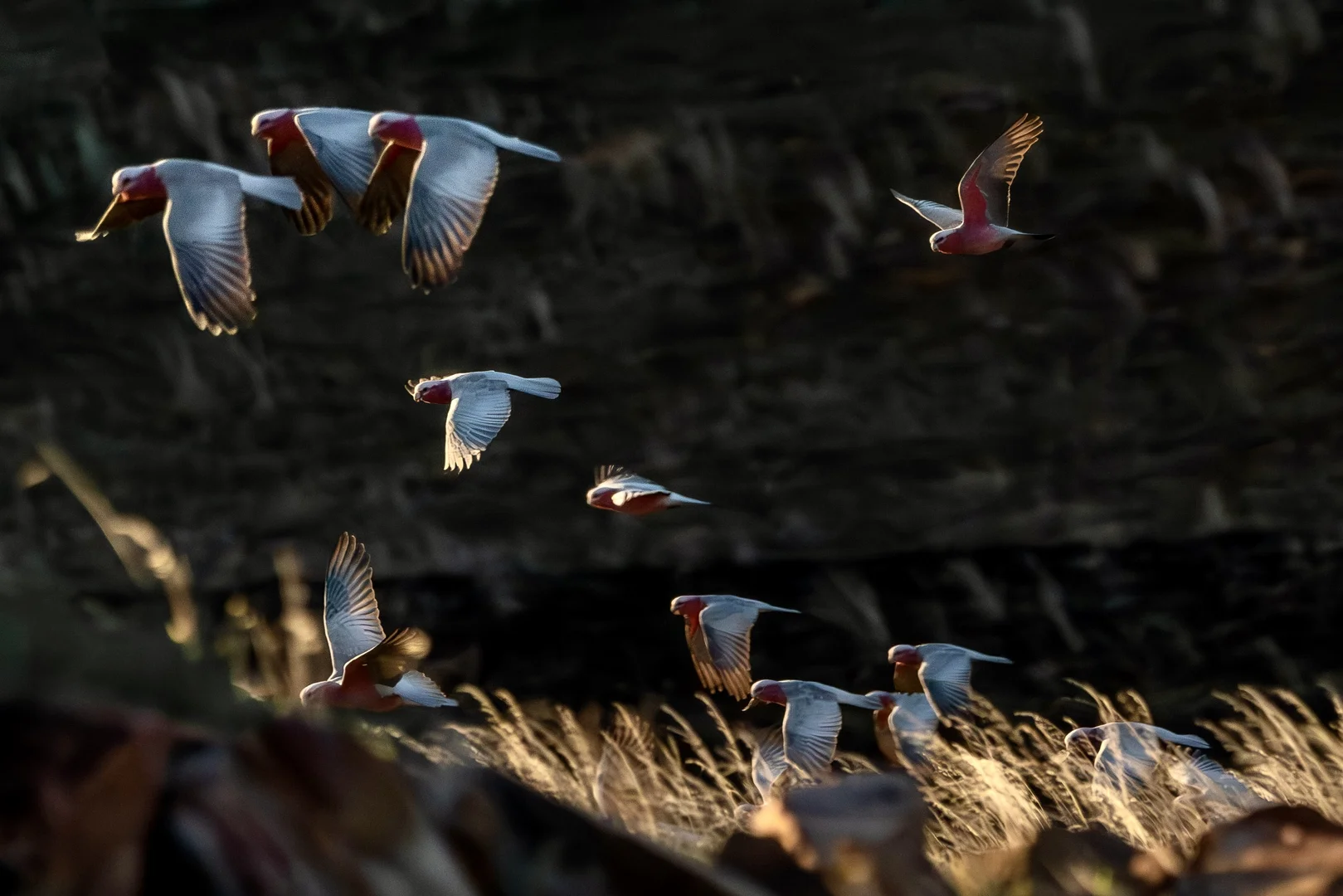 Additional image 61 of 412D Bratten Way, Tumby Bay SA 5605