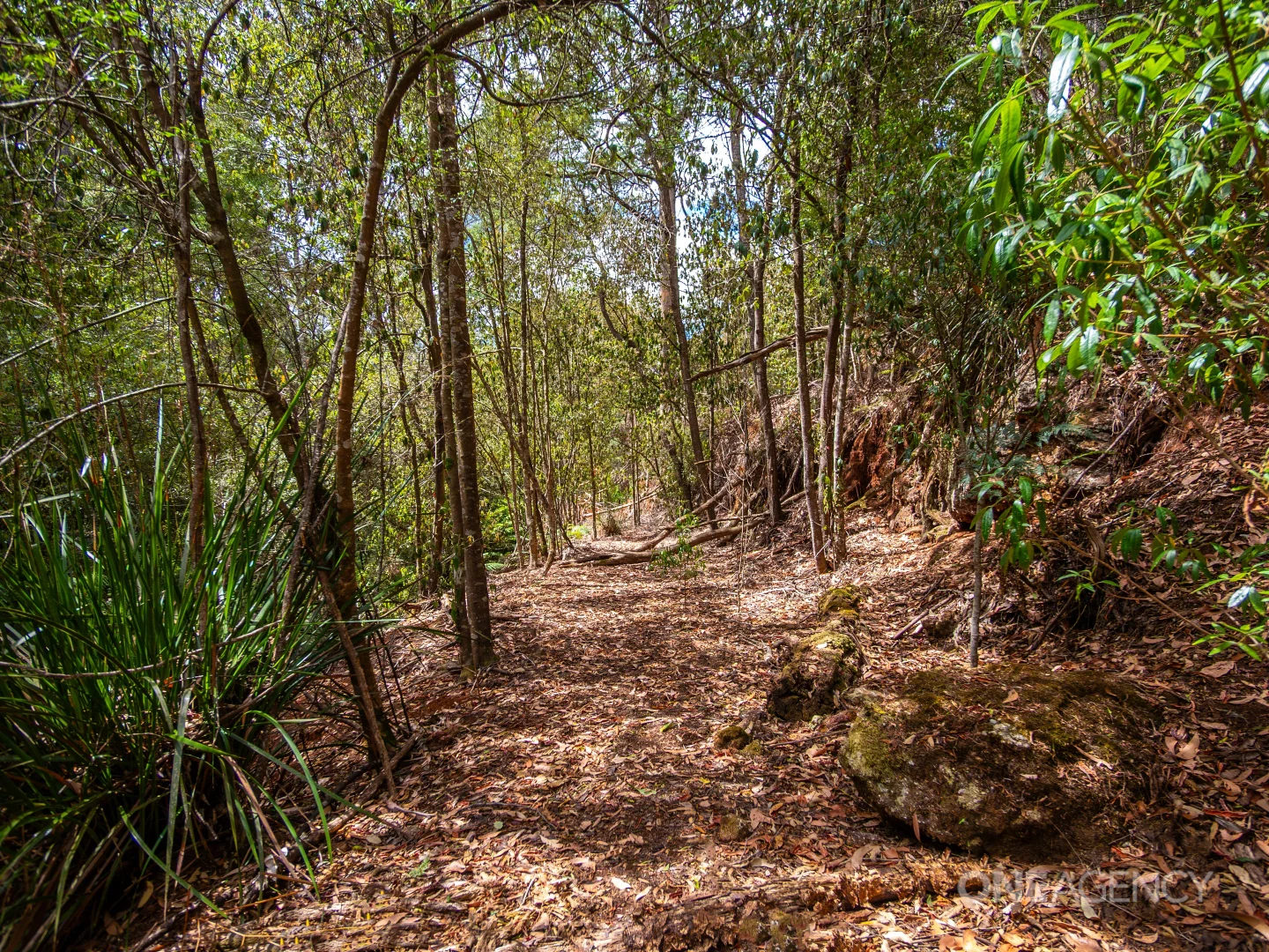 Additional image 30 of 38 Crawford Road, Penguin TAS 7316