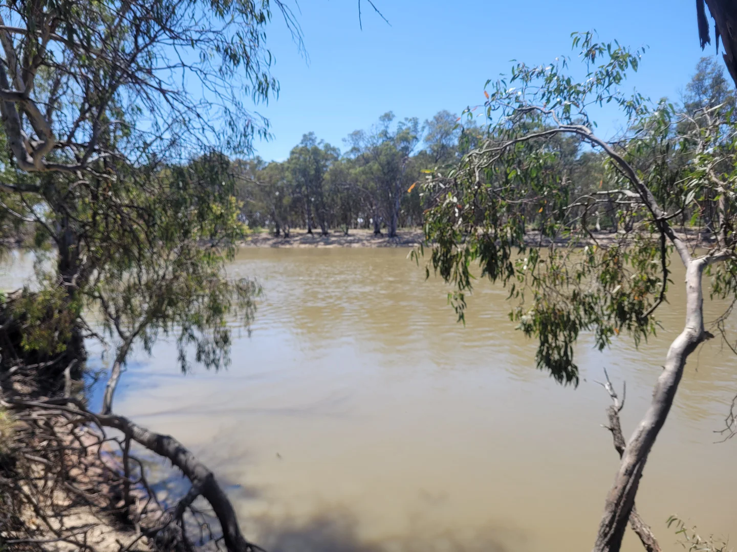 Additional image 12 of 3 Palaroo Street, Swan Hill VIC 3585