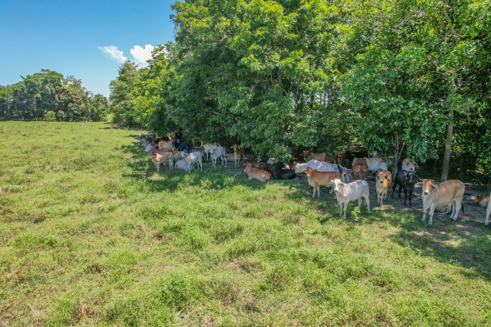 Additional image 17 of Lot 2 Bruce Highway, Bemerside QLD 4850