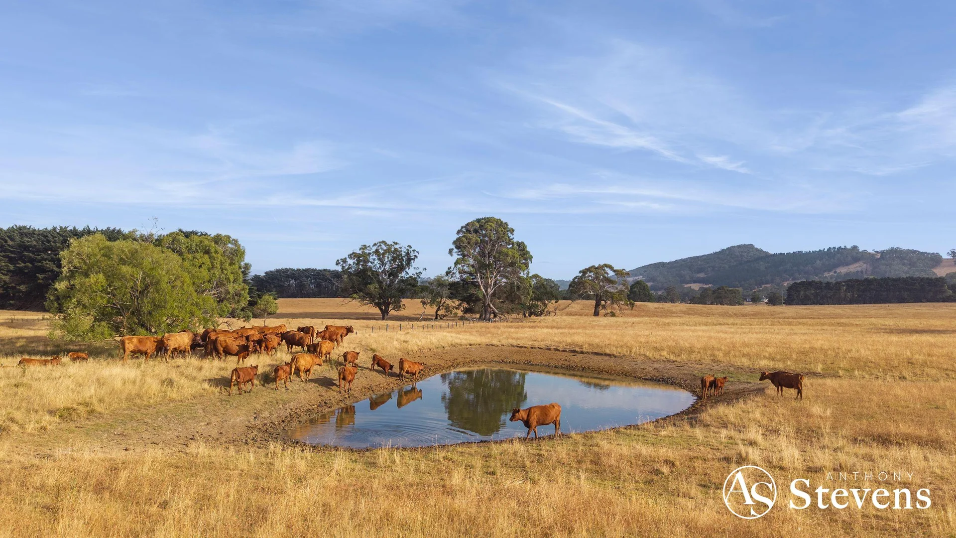 Additional image 15 of C/A-61 Pattinsons Lane, Goldie VIC 3435