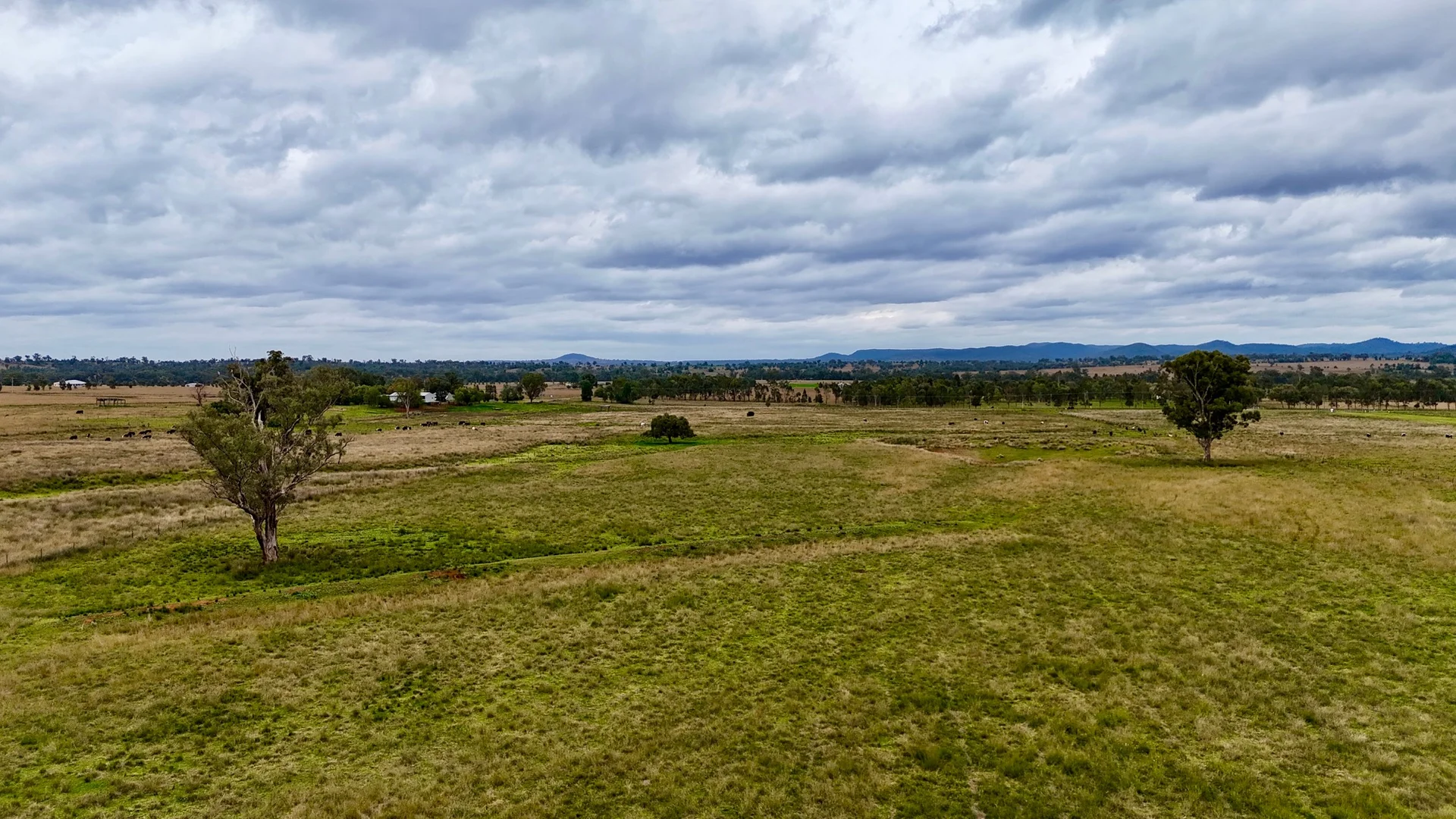 Additional image 11 of Elcombe Road, Bingara NSW 2404