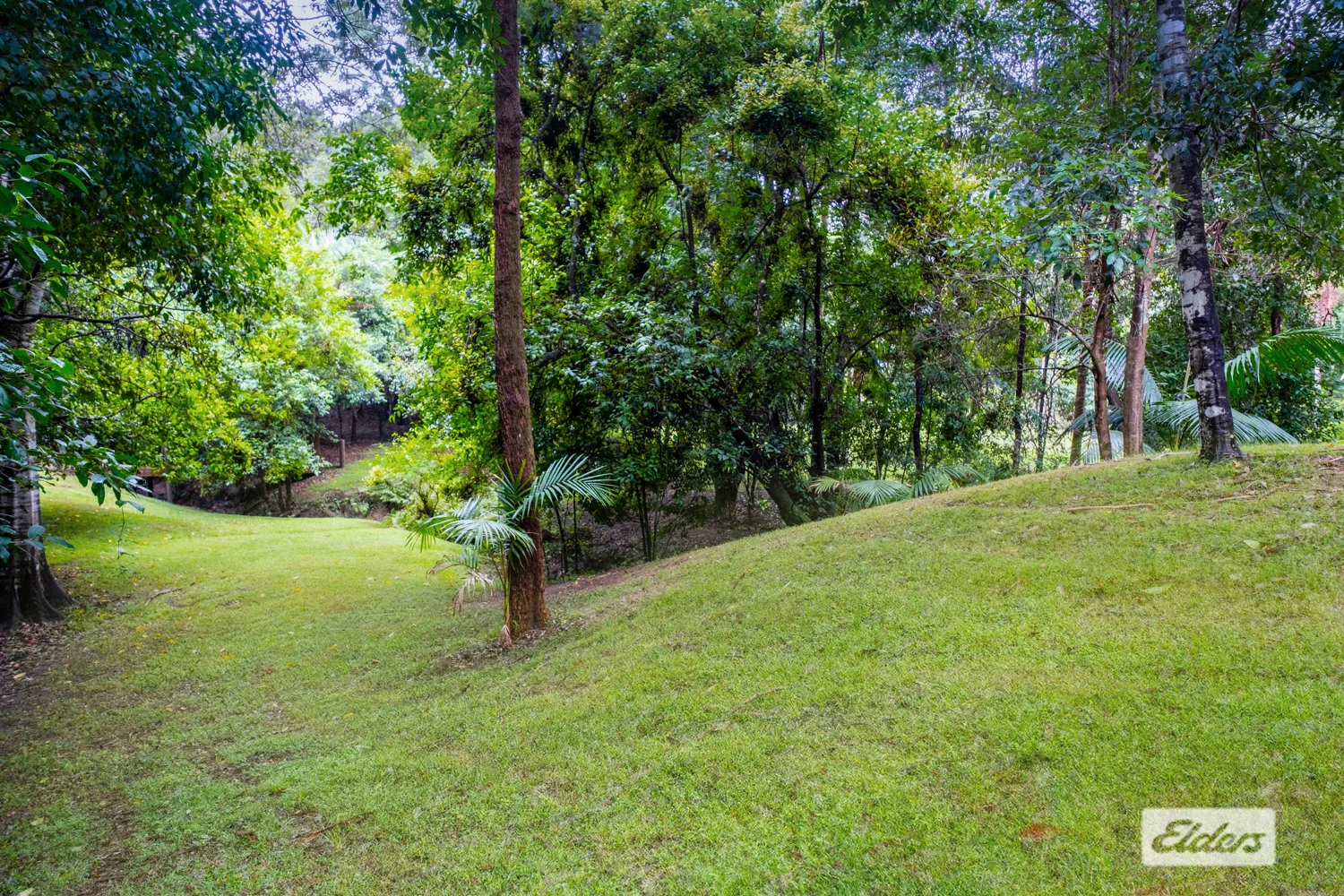 Additional image 29 of 1798 Dooralong Road, Lemon Tree NSW 2259