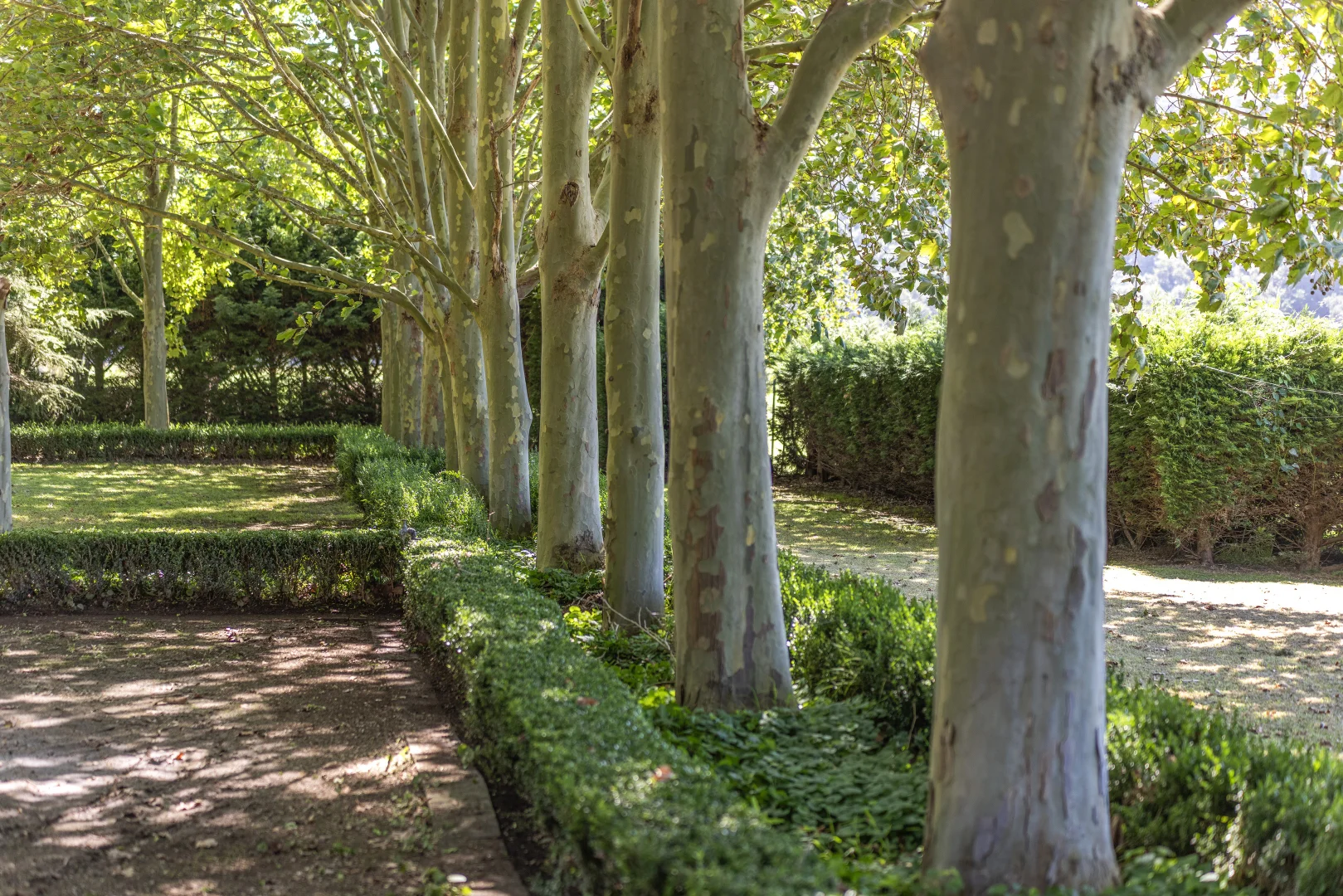 Additional image 21 of 32 Factory Lane, Jamberoo NSW 2533