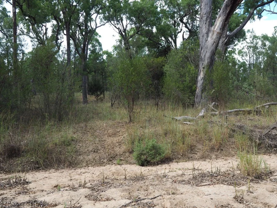 Additional image 8 of 288 Fairford Road, Warialda NSW 2402