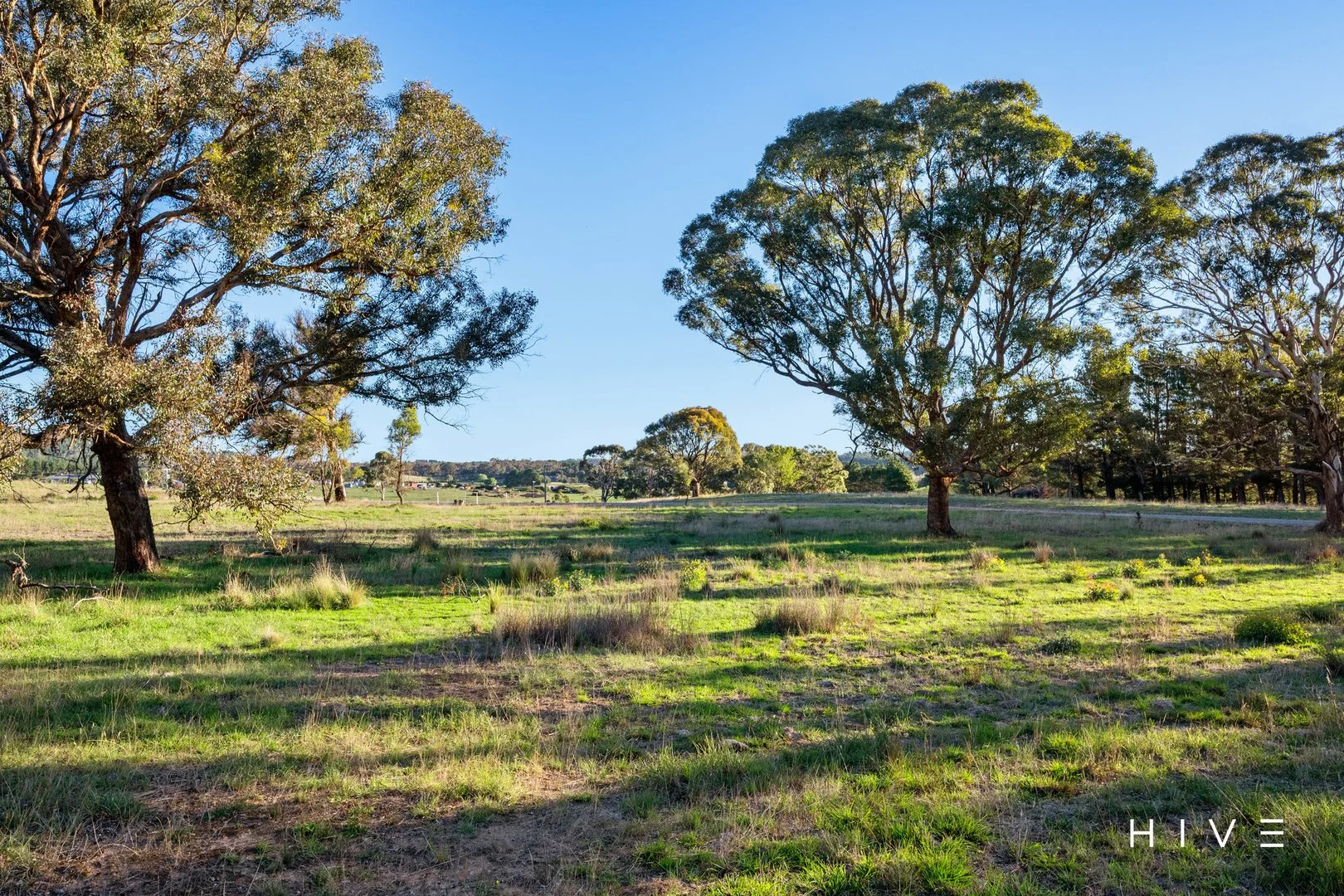 Additional image 21 of 8 Creekborough Road, Bywong NSW 2621